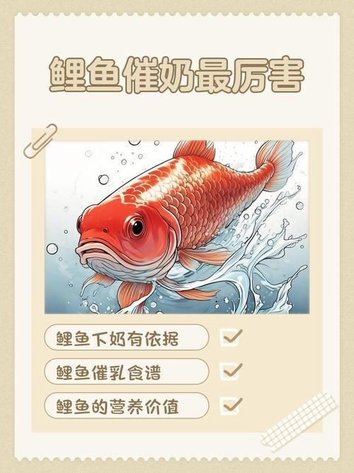 玉州龍魚的價格是多少？，主流觀賞龍魚價格對比表 玉州龍魚的價格是多少？，主流觀賞龍魚價格對比表 龍魚百科 第1張