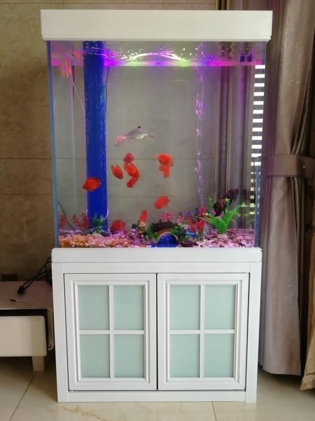 可麗愛魚便收集器怎么使用【可麗愛魚便收集器使用方法】