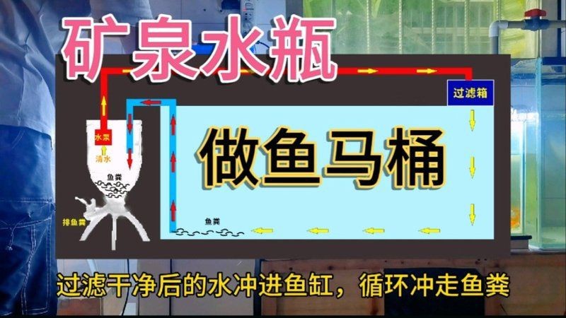 可麗愛魚便收集器怎么使用【可麗愛魚便收集器使用方法】