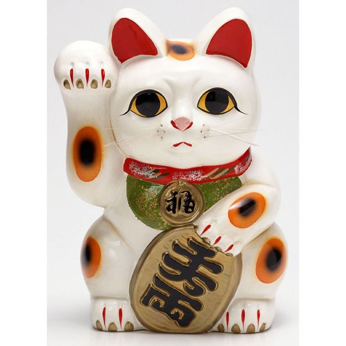 紅尾鯰為什么叫招財貓【紅尾鯰為什么叫“招財貓”】 紅尾鯰為什么叫招財貓【紅尾鯰為什么叫“招財貓”】 龍魚論壇 第13張