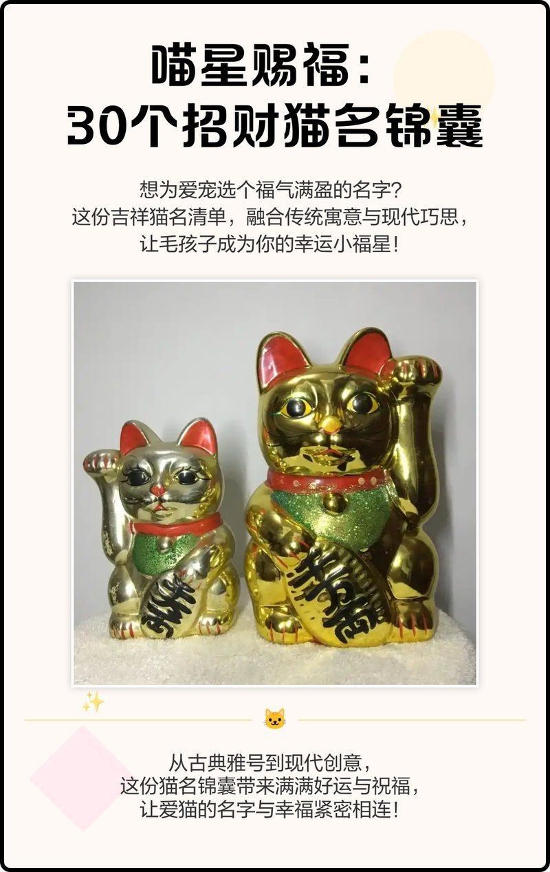 紅尾鯰為什么叫招財貓【紅尾鯰為什么叫“招財貓”】 紅尾鯰為什么叫招財貓【紅尾鯰為什么叫“招財貓”】 龍魚論壇 第19張