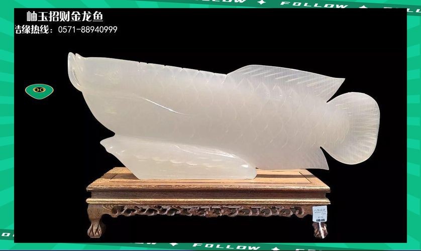 龍魚擺放的風水位置圖解【龍魚擺件擺放風水位置圖解摘要**】 龍魚擺放的風水位置圖解【龍魚擺件擺放風水位置圖解摘要**】 龍魚百科 第16張