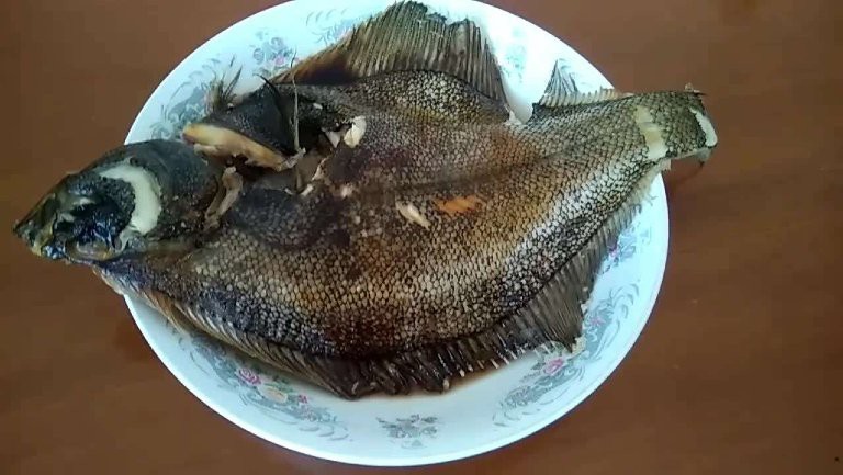 鰈魚的營養(yǎng)價(jià)值和功效【鰈魚的營養(yǎng)豐富的營養(yǎng)豐富的營養(yǎng)豐富的食用禁忌】