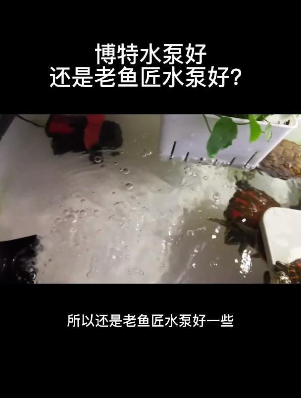 老魚匠和博特水泵對比【《還是老魚匠和博特水泵好，對比水泵推薦:老魚匠和博特哪個好】