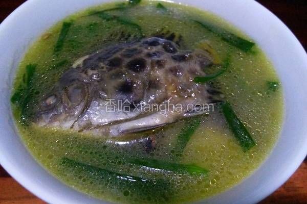 金鼓魚(yú)最好吃的6種做法【《金鼓魚(yú)最好吃的6種做法》】 金鼓魚(yú)最好吃的6種做法【《金鼓魚(yú)最好吃的6種做法》】 龍魚(yú)百科 第7張