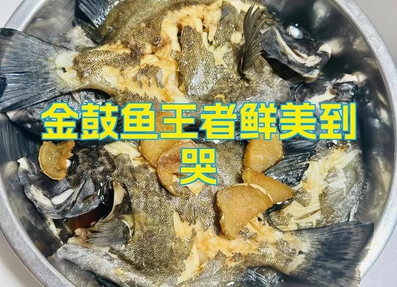 金鼓魚(yú)最好吃的6種做法【《金鼓魚(yú)最好吃的6種做法》】 金鼓魚(yú)最好吃的6種做法【《金鼓魚(yú)最好吃的6種做法》】 龍魚(yú)百科 第11張