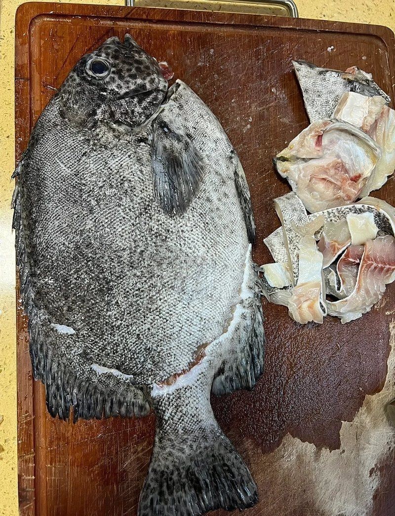 金鼓魚(yú)最好吃的6種做法【《金鼓魚(yú)最好吃的6種做法》】 金鼓魚(yú)最好吃的6種做法【《金鼓魚(yú)最好吃的6種做法》】 龍魚(yú)百科 第13張