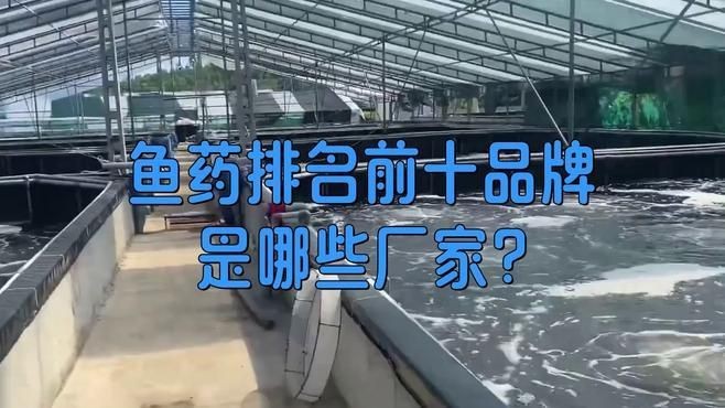 觀賞魚魚藥哪個品牌最好【ride_zz魚病用什么藥最好ride_zz魚病用什么藥最好】