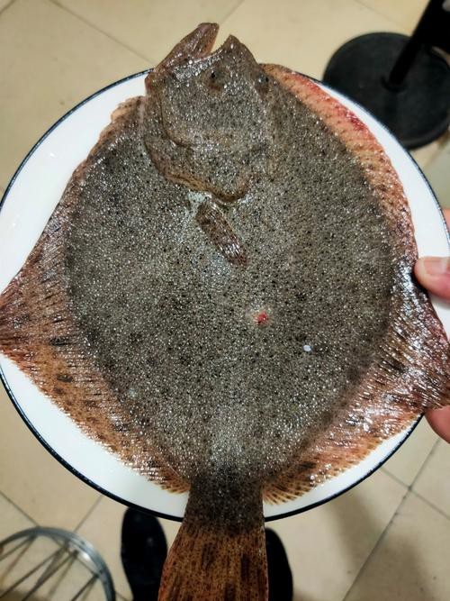 多寶魚圖片真實【《多寶魚圖片真實》*：多寶魚作為一種備受關注的水產品】 多寶魚圖片真實【《多寶魚圖片真實》*：多寶魚作為一種備受關注的水產品】 龍魚論壇 第7張