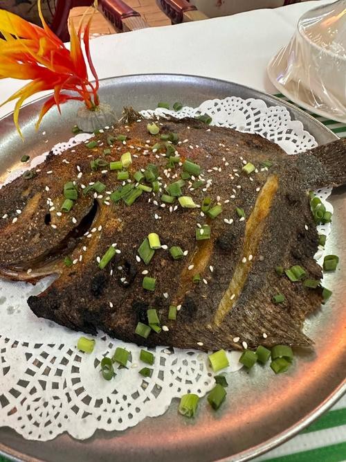 多寶魚圖片真實【《多寶魚圖片真實》*：多寶魚作為一種備受關注的水產品】 多寶魚圖片真實【《多寶魚圖片真實》*：多寶魚作為一種備受關注的水產品】 龍魚論壇 第11張