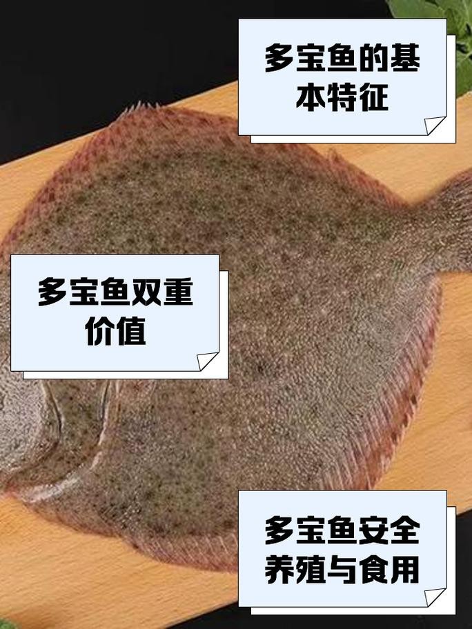 多寶魚圖片真實【《多寶魚圖片真實》*：多寶魚作為一種備受關注的水產品】 多寶魚圖片真實【《多寶魚圖片真實》*：多寶魚作為一種備受關注的水產品】 龍魚論壇 第13張