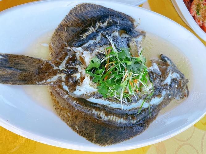 多寶魚圖片真實【《多寶魚圖片真實》*：多寶魚作為一種備受關注的水產品】 多寶魚圖片真實【《多寶魚圖片真實》*：多寶魚作為一種備受關注的水產品】 龍魚論壇 第21張