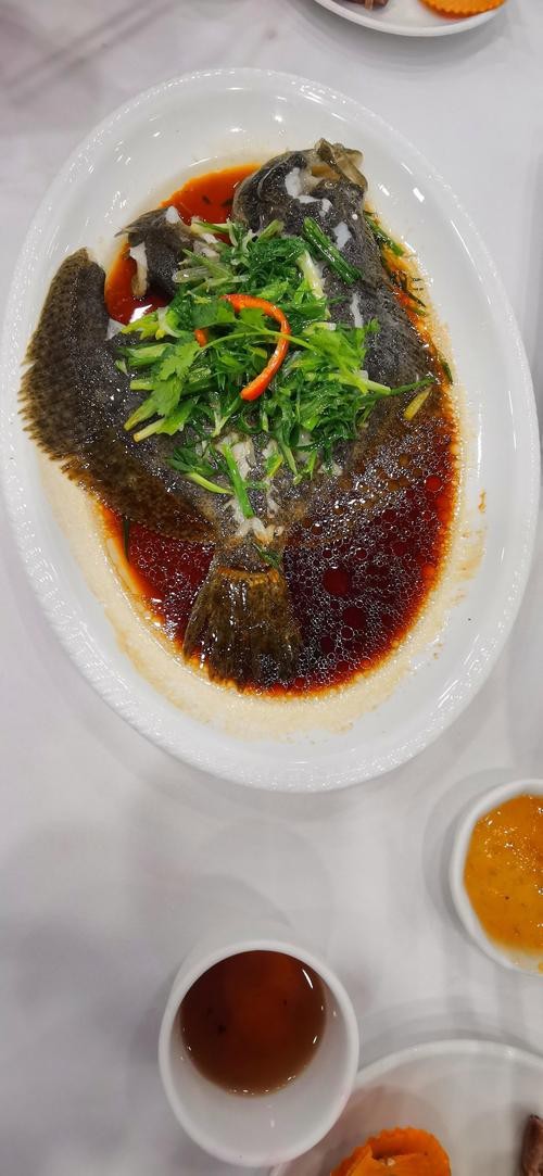 多寶魚圖片真實【《多寶魚圖片真實》*：多寶魚作為一種備受關注的水產品】 多寶魚圖片真實【《多寶魚圖片真實》*：多寶魚作為一種備受關注的水產品】 龍魚論壇 第27張