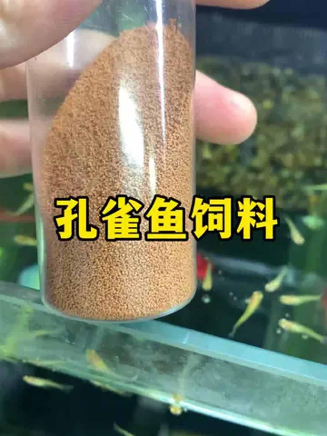 孔雀魚飼料哪個(gè)牌子好【孔雀魚飼料哪個(gè)牌子好孔雀魚飼料哪個(gè)牌子好】