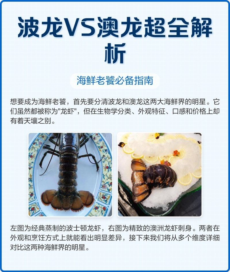 如何區分真假澳龍？【區分真假澳龍需從多個方面著手區分真假澳龍需從多個方面著手】