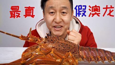 如何區分真假澳龍？【區分真假澳龍需從多個方面著手區分真假澳龍需從多個方面著手】