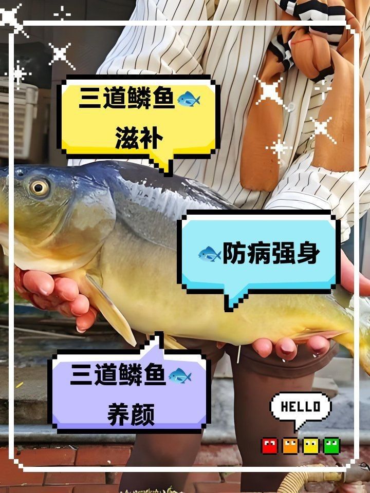 鱗魚為何不建議吃【為什么鱗魚不建議吃】