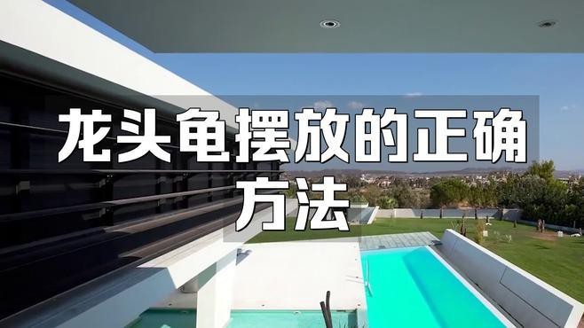 龍龜擺放時(shí)需要開(kāi)光嗎？【龍龜開(kāi)光最簡(jiǎn)單方法不是錦鯉樹(shù)龍龜開(kāi)光最靈三個(gè)咒p圖匠小色醬】 龍龜擺放時(shí)需要開(kāi)光嗎？【龍龜開(kāi)光最簡(jiǎn)單方法不是錦鯉樹(shù)龍龜開(kāi)光最靈三個(gè)咒p圖匠小色醬】 龍魚百科 第7張
