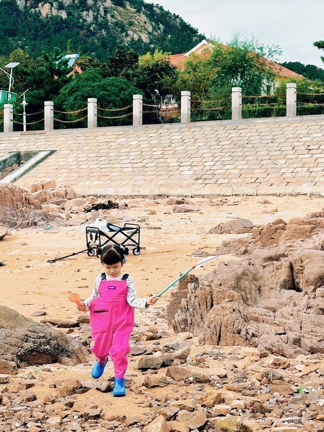 青島趕海必去十大魚【《青島趕海必去十大勝地全攻略》青島趕海必去十大勝地】