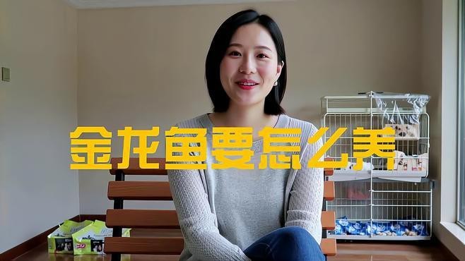 飼養40厘米無爬背金龍魚需要注意什么？【金龍魚飼養方法及注意事項】