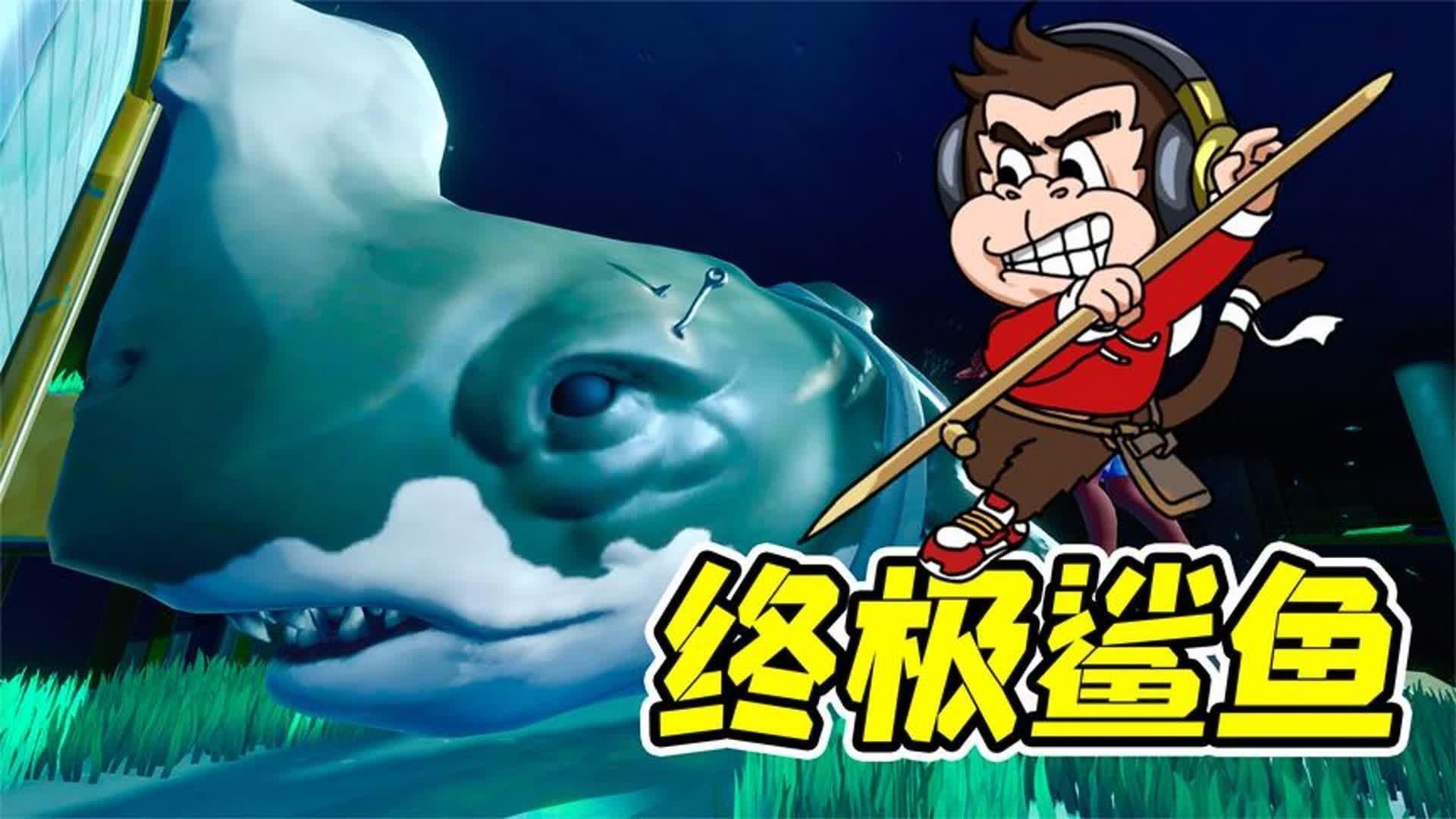 狒狒救小鯊的視頻【《狒狒救小鯊：令人驚嘆的奇妙一幕》】