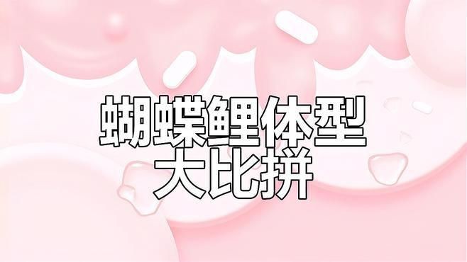 蝴蝶鯉哪個品種最漂亮【疆小援-防坑手冊蝴蝶鯉哪種品種最好】