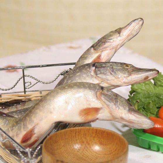 狗魚 新疆【《為狗魚與新疆的獨特聯系》】