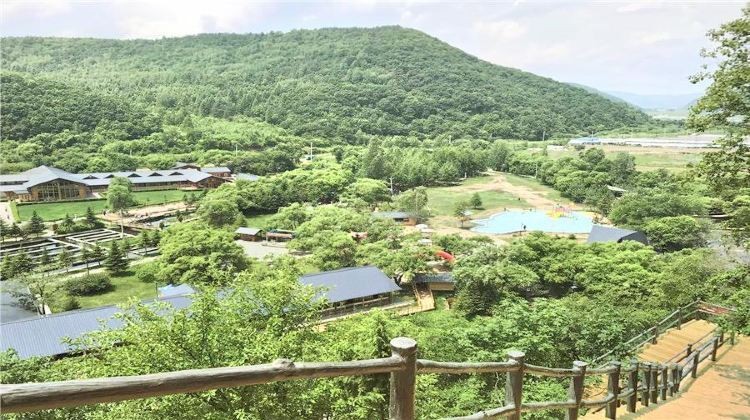 青龍漁場收費價目表【青龍漁場收費價目表摘要**】 青龍漁場收費價目表【青龍漁場收費價目表摘要**】 龍魚論壇 第1張