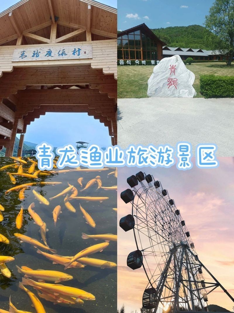 青龍漁場收費價目表【青龍漁場收費價目表摘要**】 青龍漁場收費價目表【青龍漁場收費價目表摘要**】 龍魚論壇 第6張