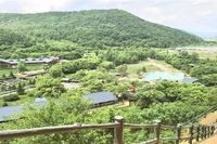 青龍漁場收費價目表【青龍漁場收費價目表摘要**】 青龍漁場收費價目表【青龍漁場收費價目表摘要**】 龍魚論壇 第5張