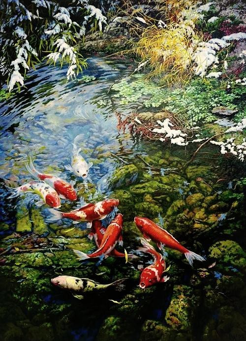 招財(cái)山水魚大全圖片【地球取暖指南針，招財(cái)魚科普|見者發(fā)財(cái)非抽象派的俠豬潔】