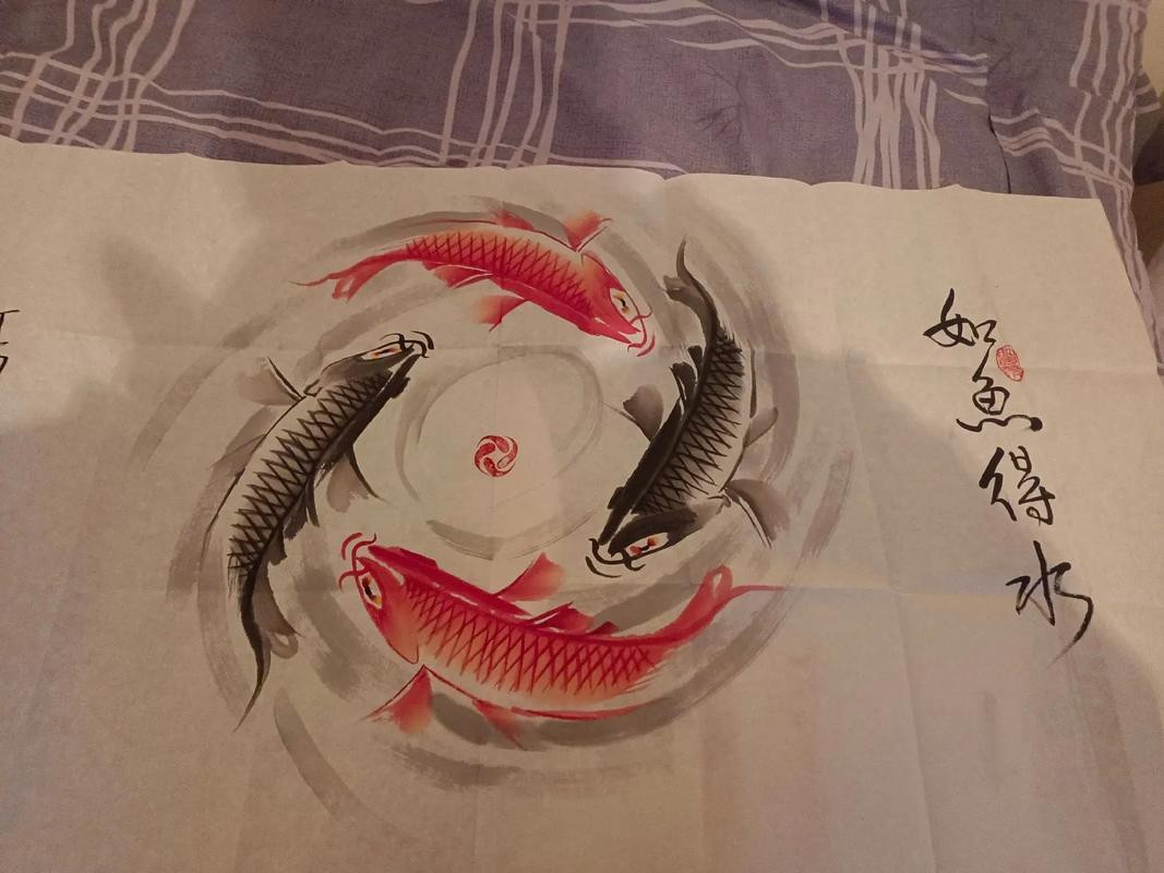招財(cái)山水魚大全圖片【地球取暖指南針，招財(cái)魚科普|見者發(fā)財(cái)非抽象派的俠豬潔】