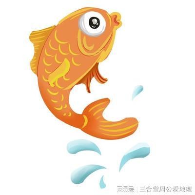 1～20條魚吉祥寓意【1～20條魚的吉祥寓意】