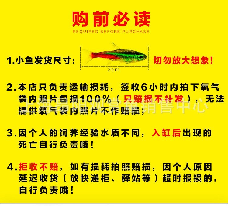 紅眼白子招財(cái)龍有哪些品種？【哪種紅眼白子招財(cái)龍最稀有？紅眼白子招財(cái)龍的價(jià)格是多少，】 紅眼白子招財(cái)龍有哪些品種？【哪種紅眼白子招財(cái)龍最稀有？紅眼白子招財(cái)龍的價(jià)格是多少，】 龍魚論壇 第1張