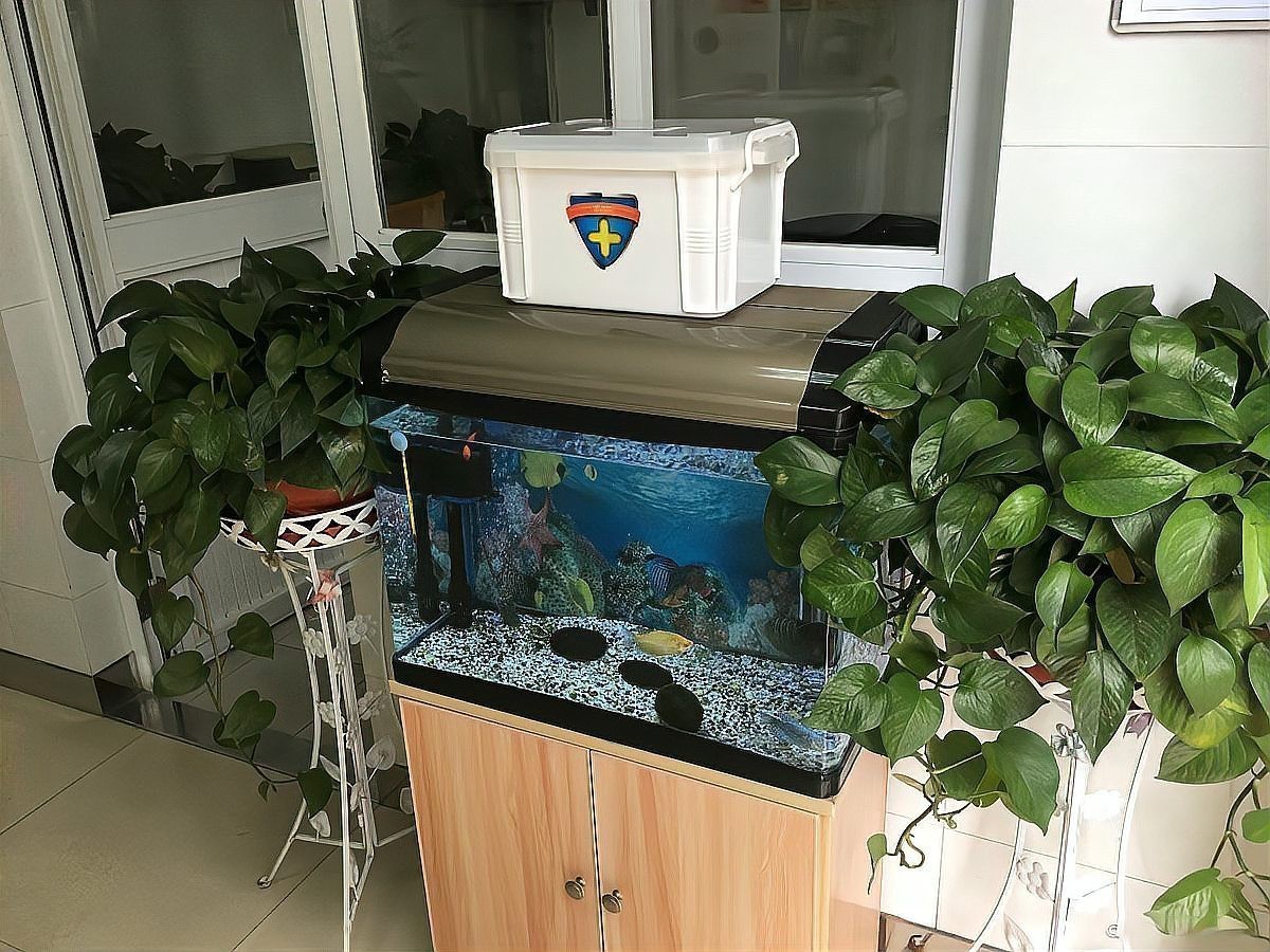 風水魚缸放什么位置最好【家庭魚缸擺放風水】 風水魚缸放什么位置最好【家庭魚缸擺放風水】 龍魚論壇 第11張