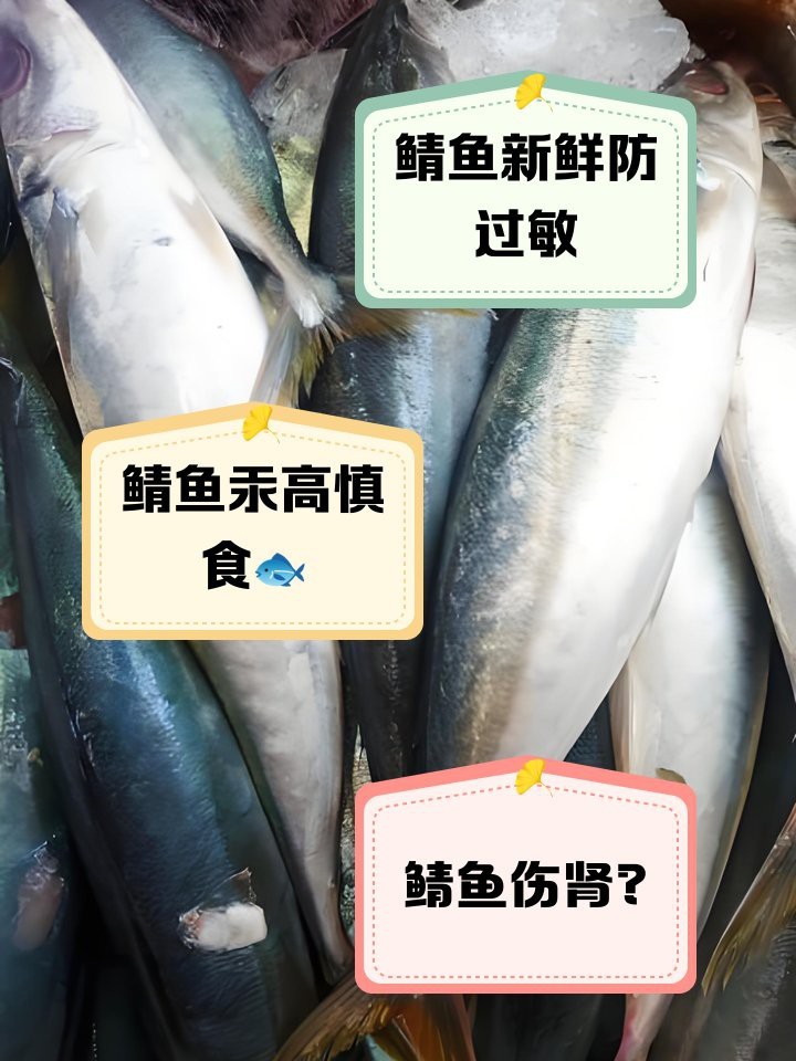 挪威鯖魚為何不建議吃【挪威鯖魚不建議食用主要基于多方面因素】