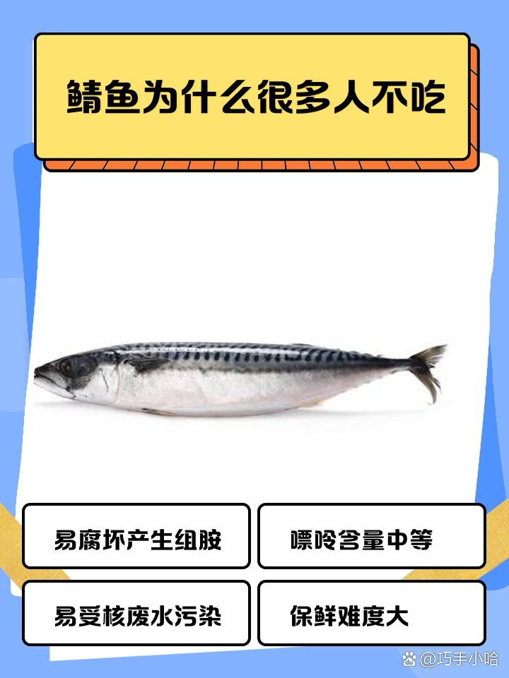 挪威鯖魚為何不建議吃【挪威鯖魚不建議食用主要基于多方面因素】
