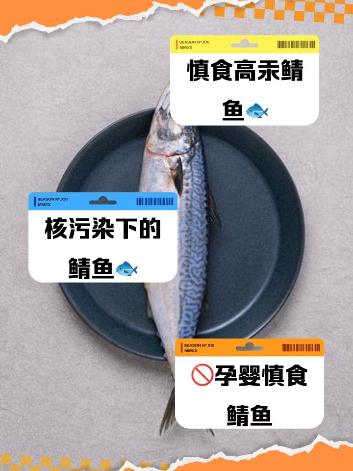 挪威鯖魚為何不建議吃【挪威鯖魚不建議食用主要基于多方面因素】