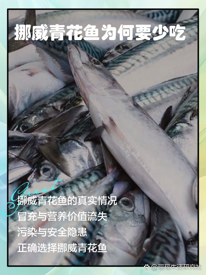 挪威鯖魚為何不建議吃【挪威鯖魚不建議食用主要基于多方面因素】