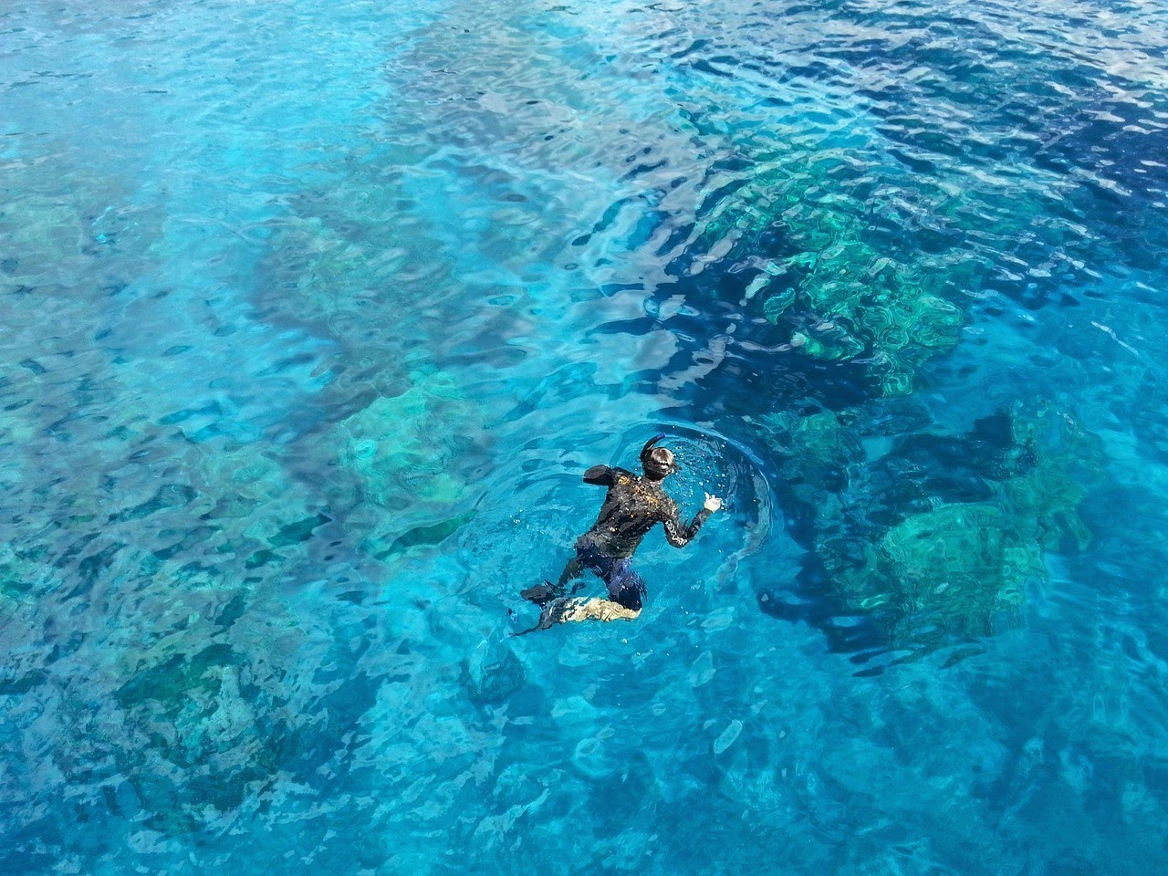 龍魚鰓蓋爛了最簡單去除方法【龍魚鰓蓋爛了怎么辦】 龍魚鰓蓋爛了最簡單去除方法【龍魚鰓蓋爛了怎么辦】 水族問答 第1張