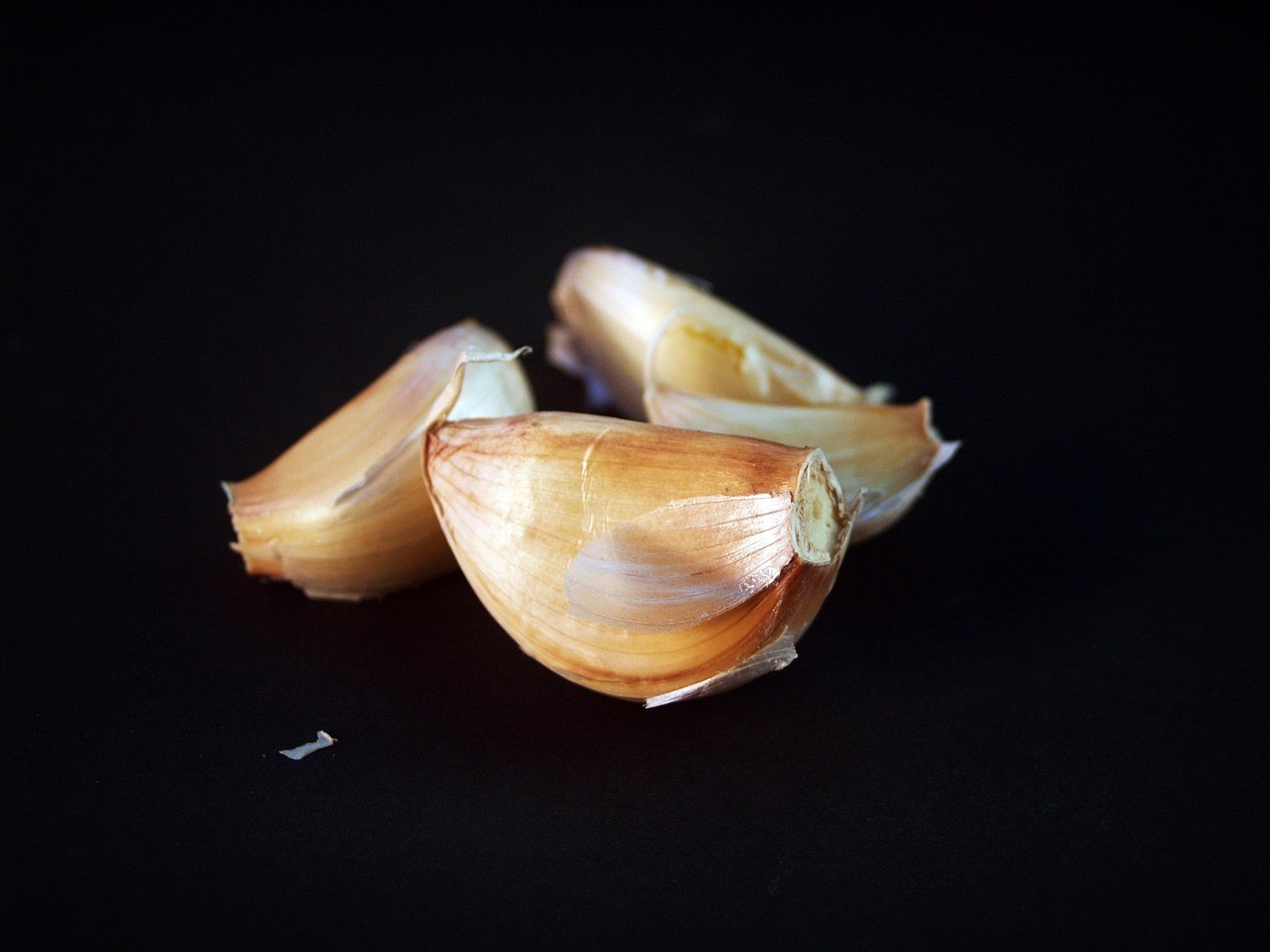 龍魚鰓蓋潰爛用什么藥【龍魚鰓蓋潰爛怎么辦】 龍魚鰓蓋潰爛用什么藥【龍魚鰓蓋潰爛怎么辦】 水族問答