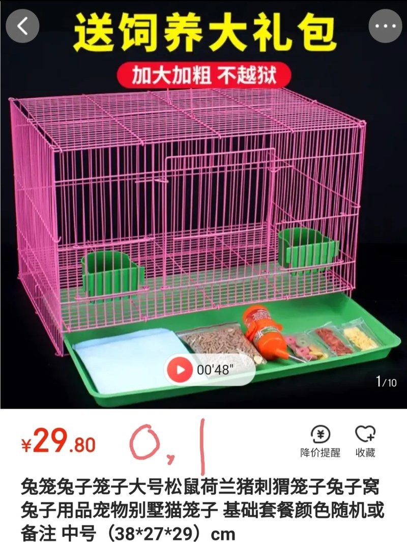 混養(yǎng)龍貓和荷蘭豬需要多大的空間？【龍貓和荷蘭豬分開養(yǎng)需要多大的空間？】