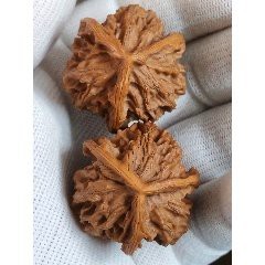 帝王三棱屬于什么檔次【帝王三棱屬于中高端檔次的廚刀品牌**】 帝王三棱屬于什么檔次【帝王三棱屬于中高端檔次的廚刀品牌**】 龍魚(yú)論壇 第3張