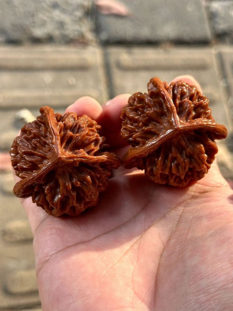 帝王三棱屬于什么檔次【帝王三棱屬于中高端檔次的廚刀品牌**】 帝王三棱屬于什么檔次【帝王三棱屬于中高端檔次的廚刀品牌**】 龍魚(yú)論壇 第1張