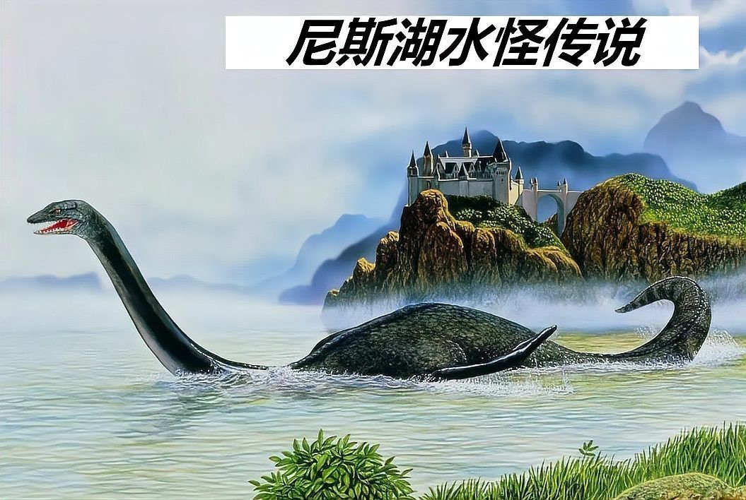 尼斯湖有什么魚【尼斯湖中的魚類】 尼斯湖有什么魚【尼斯湖中的魚類】 龍魚論壇 第7張
