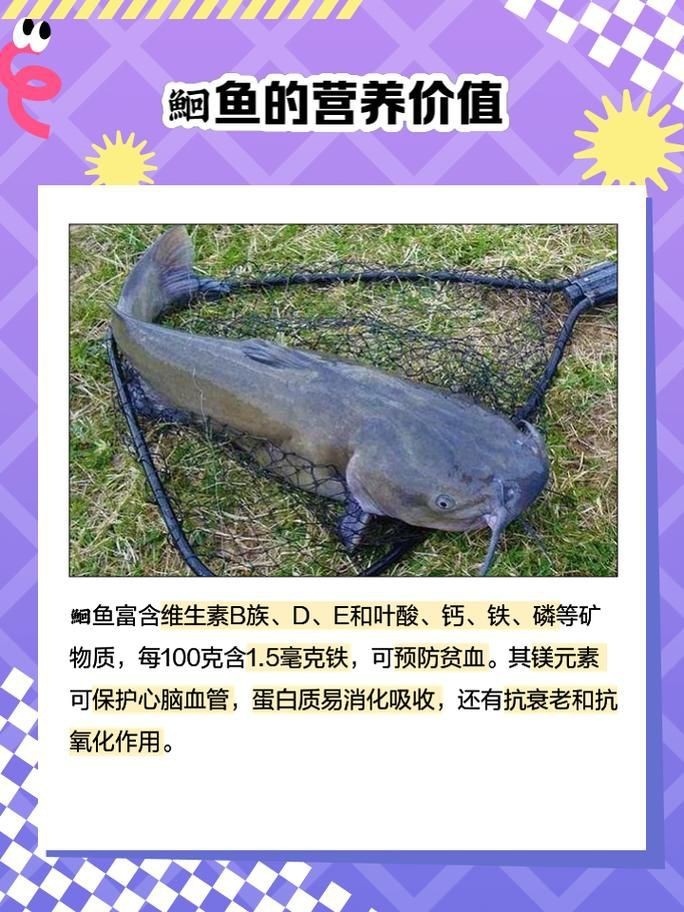 鮰魚圖片大全大圖【《鮰魚圖片大全大圖》】