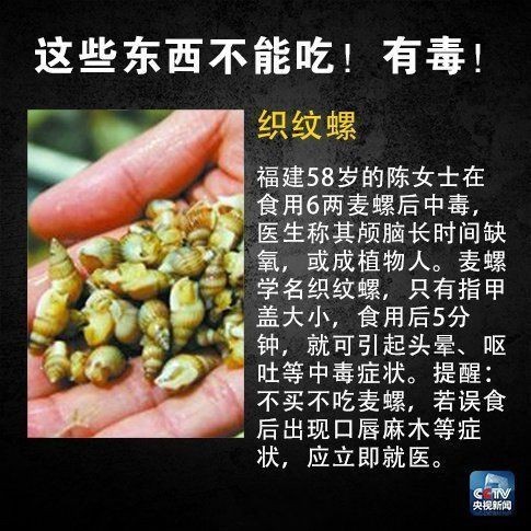 虎魚的毒致命嗎【世界上最毒的魚有毒蝦虎魚和云斑裸頰蝦虎魚)含有致命毒素】 虎魚的毒致命嗎【世界上最毒的魚有毒蝦虎魚和云斑裸頰蝦虎魚)含有致命毒素】 龍魚論壇 第18張