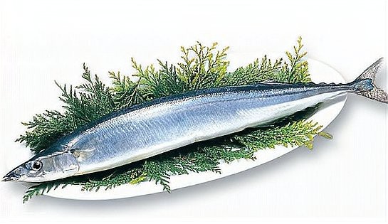秋刀魚為何要盡量少吃【秋刀魚為什么不能多吃】