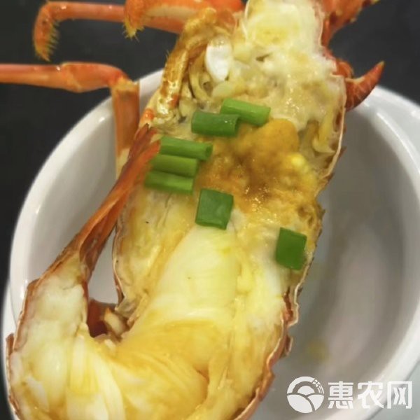 青龍多少錢一斤市場價