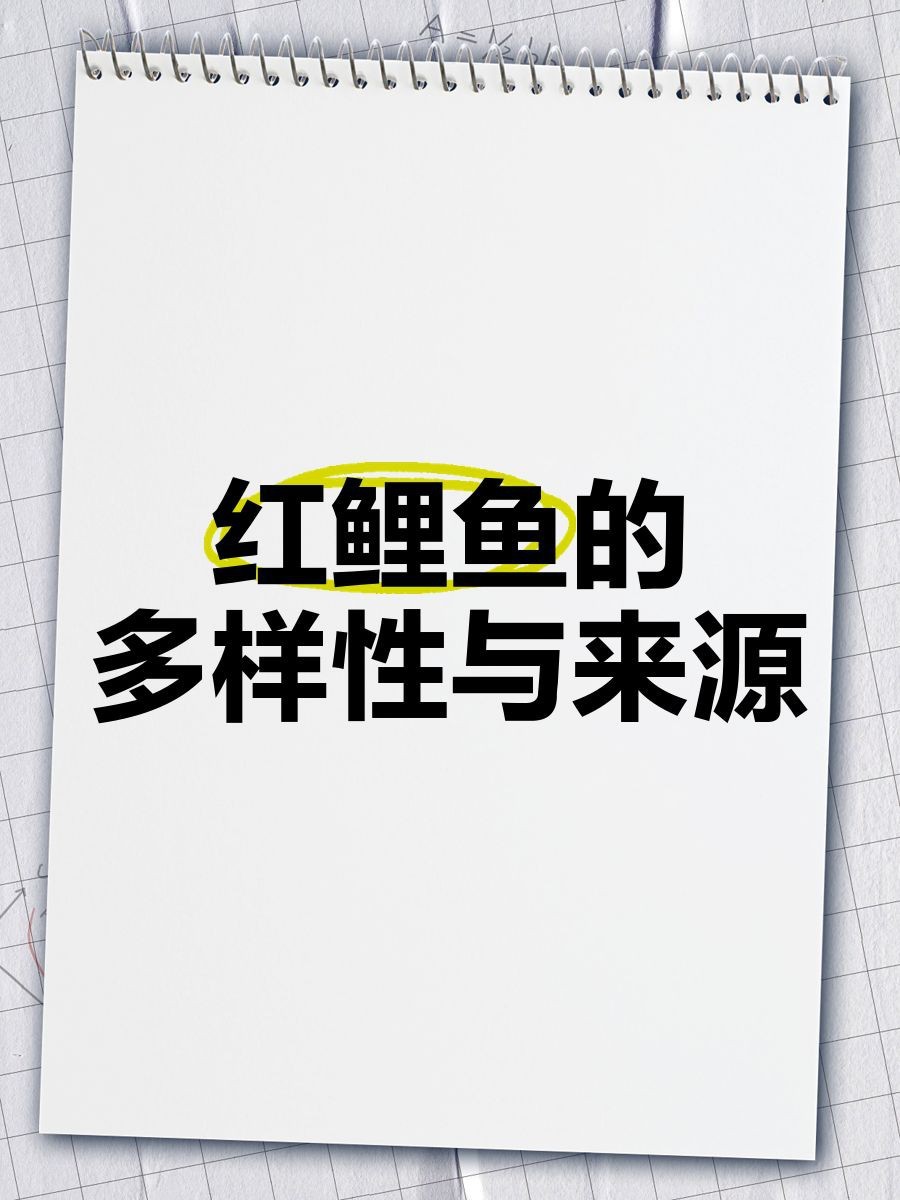 紅錦鯉的寓意和象征【紅錦鯉在風(fēng)水學(xué)中的具體寓意】
